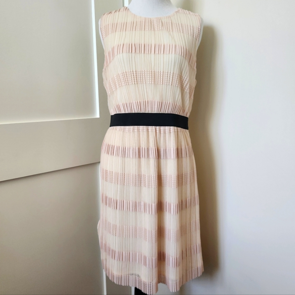 NWT Pim+Larkin Pink/cream striped pleated sleeveless midi dress. Size L.